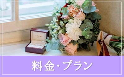 料金・プラン